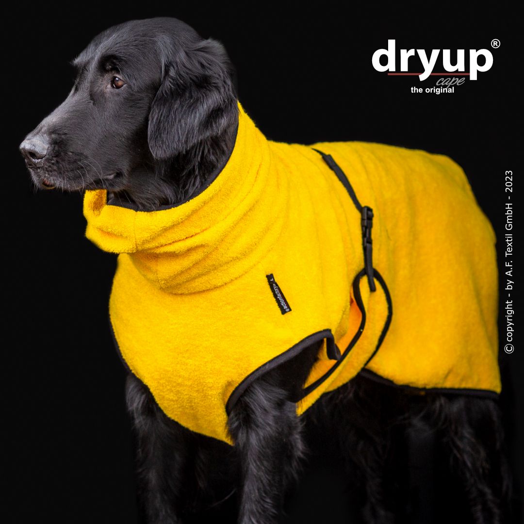 Dryup cape - Geel